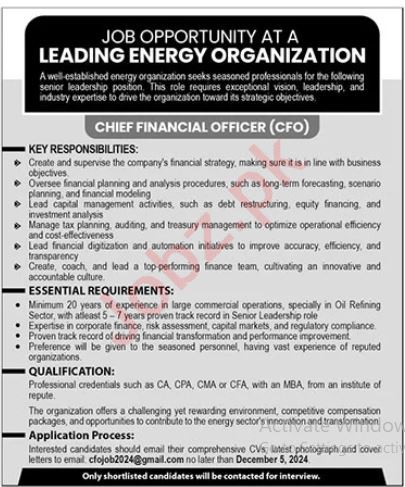 Vacant Positions in Energy Organization