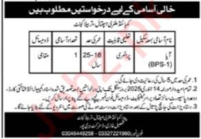 Jobs at Combined Military Hospital CMH Haripur in 2024