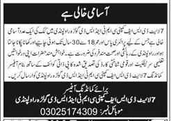 Jobs at 7 Light DSF Company CMT&SD Golra Cook 2025