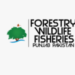 Punjab Forest Department