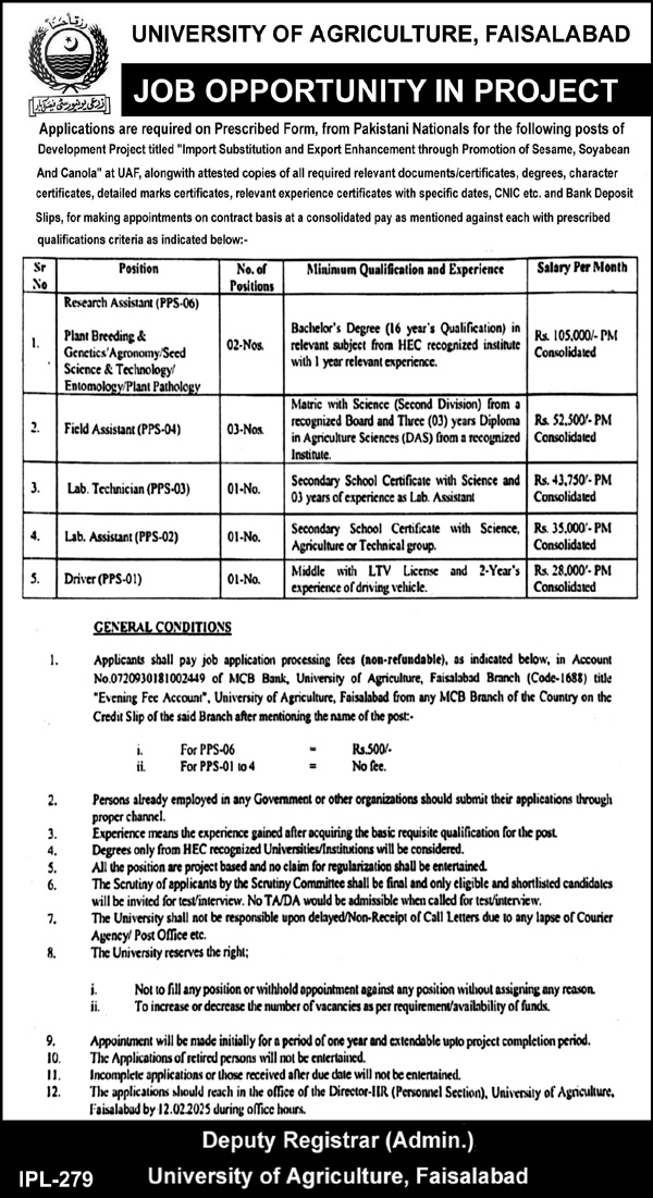 UAF Faisalabad Jobs at the University of Agriculture 2025