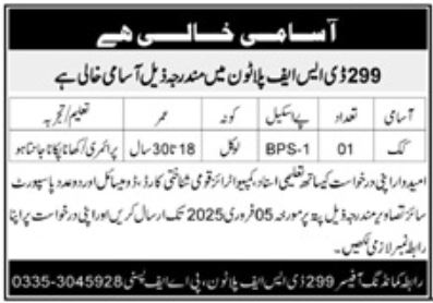 299 DSF Platoon Karachi Cook Jobs 2025